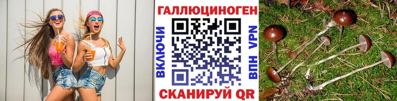 Галлюциногенные грибы MAGIC MUSHROOMS  где продают наркотики  kraken маркетплейс  Павловская 
